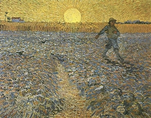The sower of Van Gogh