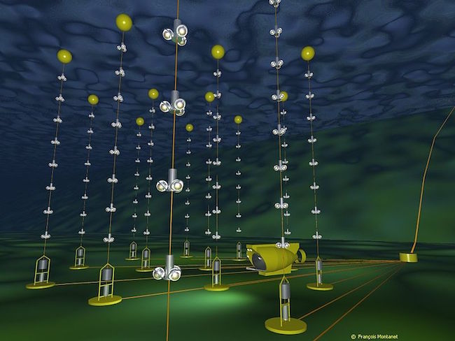 The installation is a network of hundreds of optical modules set up with the Nautile, a French submarine