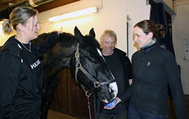 Jennie Sköld, the horse Viggo, Björn Berg and Åsa Hinton
